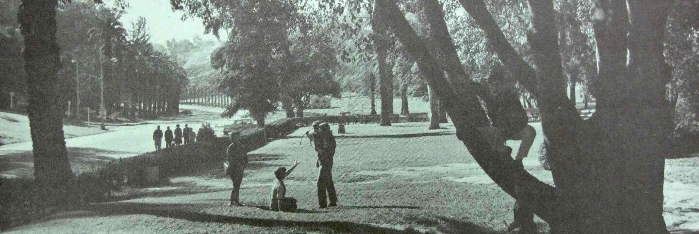 Elysian Park