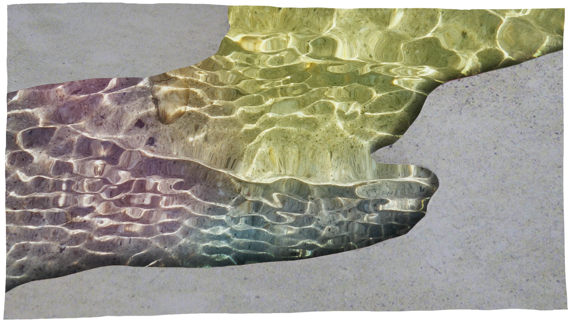 Shimmering aquatic graphic bordered by sand.