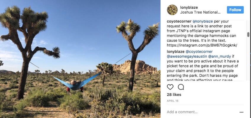 Instagram user documents use of hammocks in JTNP | Image: via Instagram