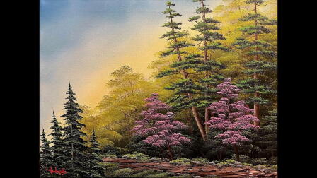 Shenandoah Redbuds