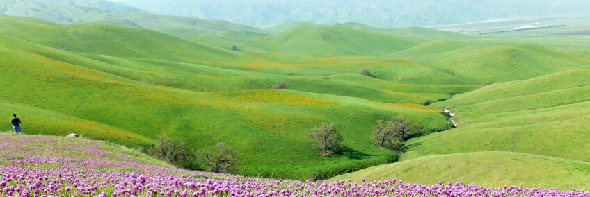 Tejon Ranch