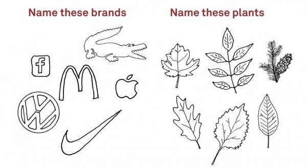 brand-thumb-600x330-63545