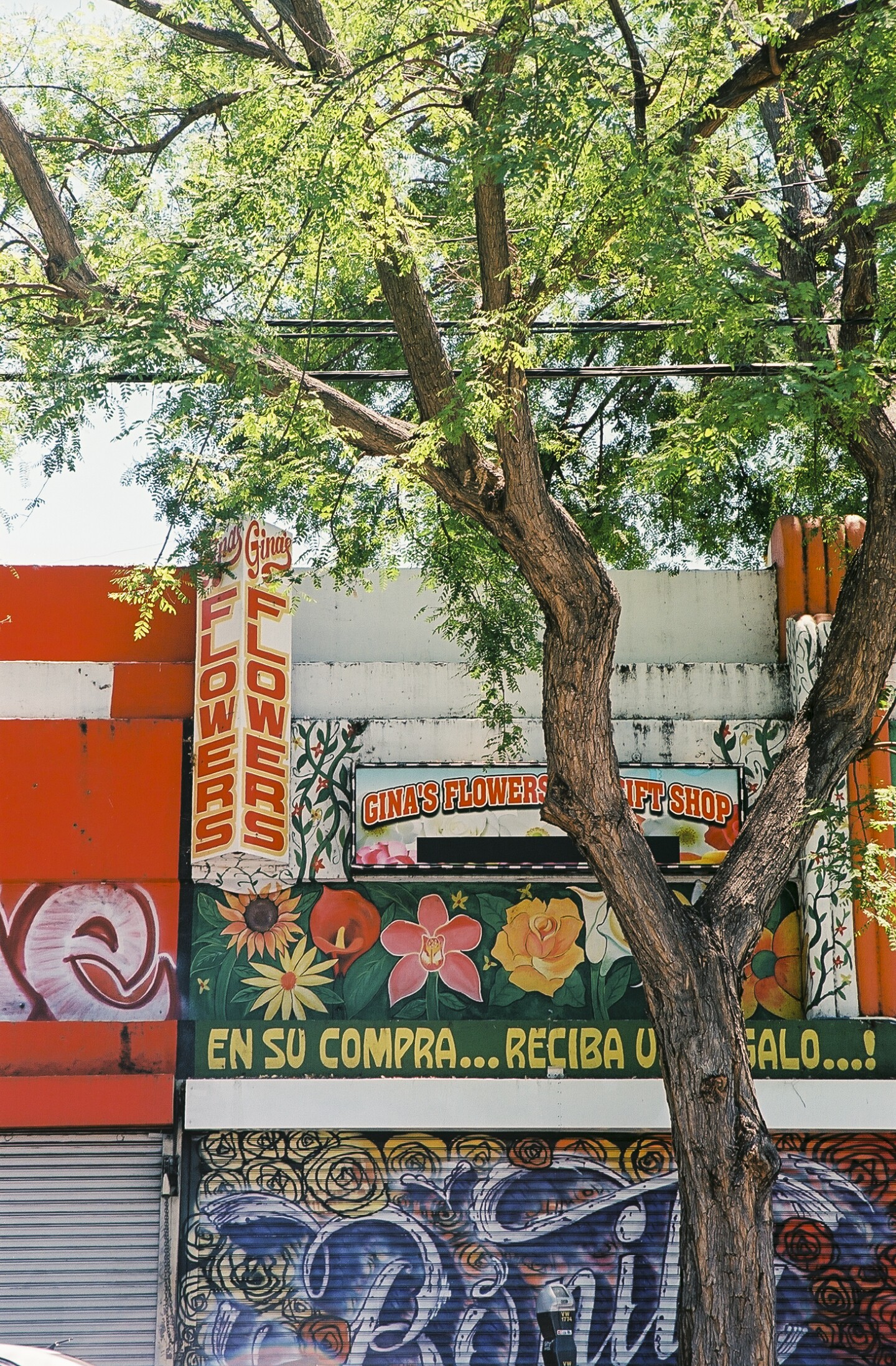 Gina's flower shop in Pico-Union.