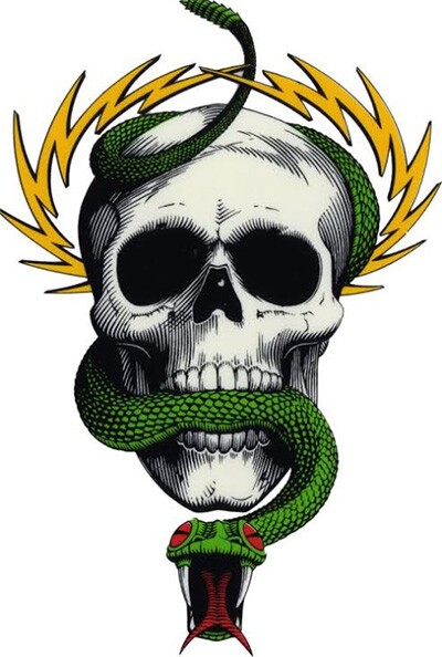 Mike McGill Skull and Snake. | Image: Courtesy of Vernon Courtlandt Johnson.