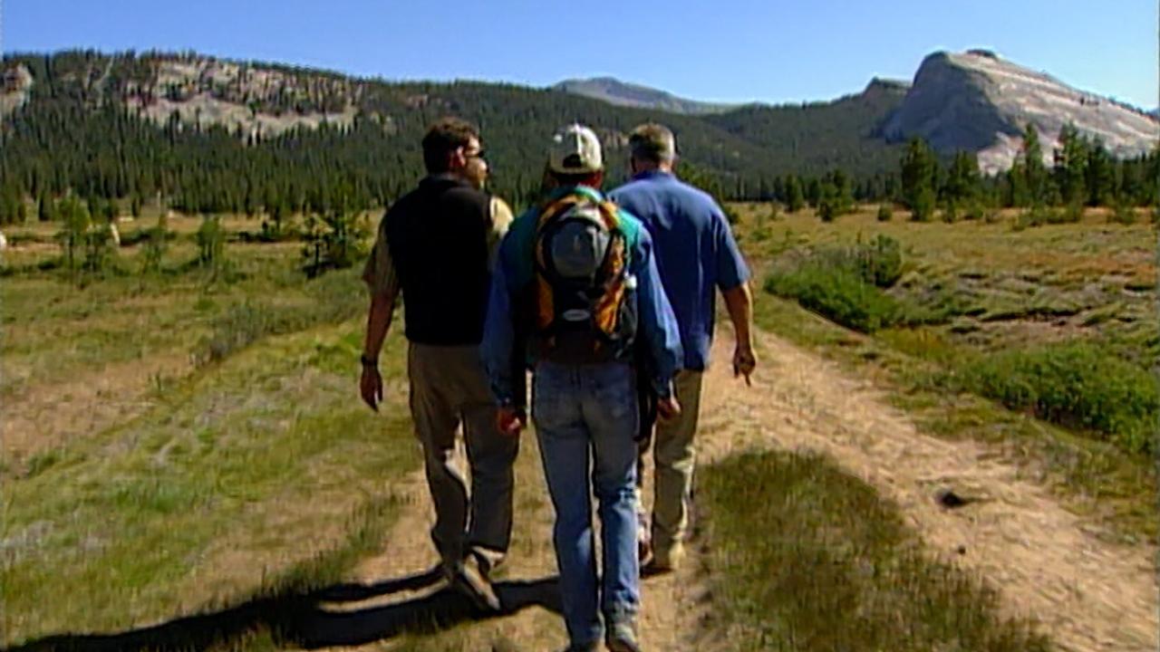 tuolumne meadows