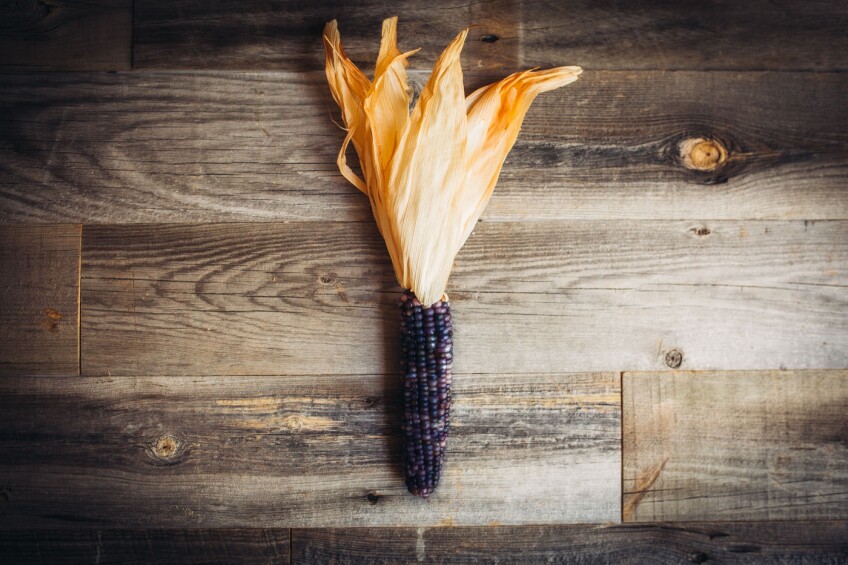 A blue and purplish corn on a table.