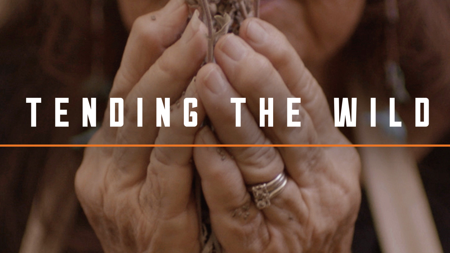 Tending the Wild