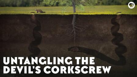 Untangling the Devil's Corkscrew