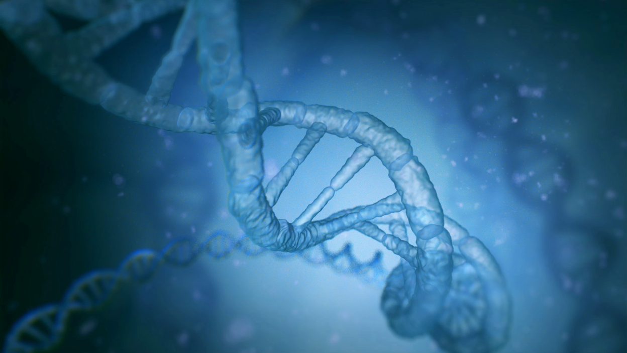 jRRrmKs-asset-mezzanine-16x9-Em65FCT.png