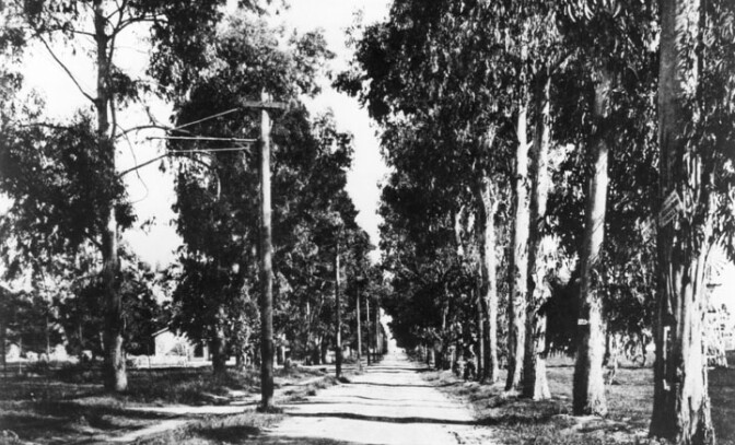 Circa 1900 view of Santa Monica Boulevard in present-day Hollywood. Courtesy of the Photo Collection - Los Angeles Public Library.