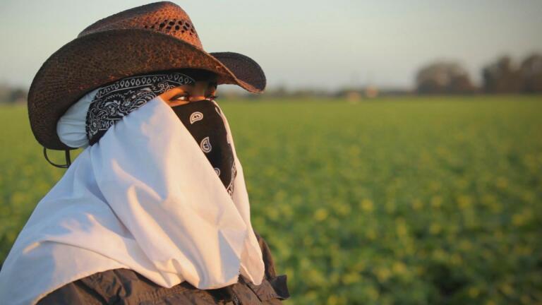 Rape in the Fields - Preview