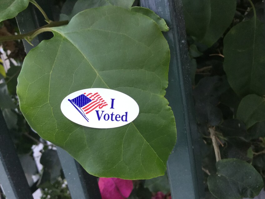A large green leaf pokes out of a metal fence or gate as it wears a white, oval "I Voted" sticker with the image of an American flag