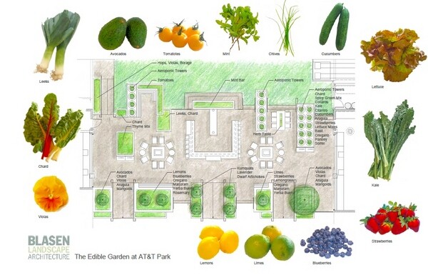 gardengraphic1-thumb-600x385-77601