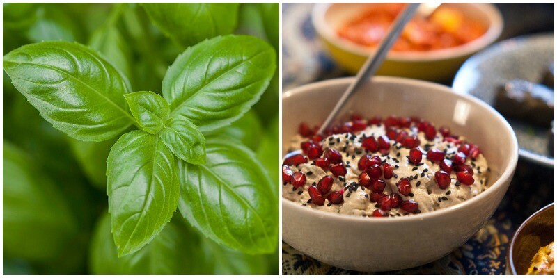 basilmezze