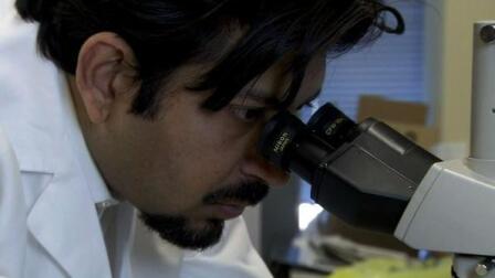 In New Book, Doctor Explores History of Cancer