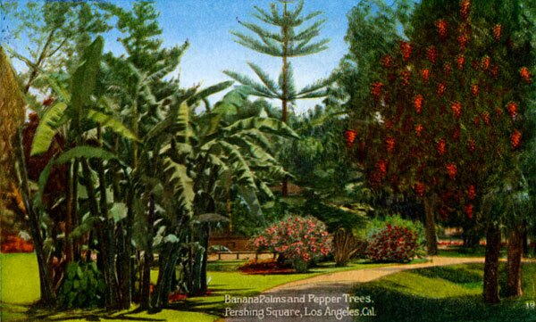 pepper-trees-and-banana-palms.jpg