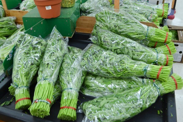 Ong choy, a yin food | Photo by Clarissa Wei