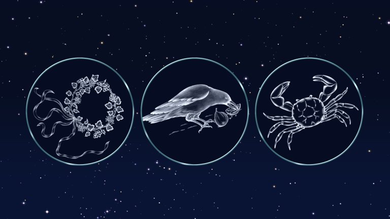 Find the Crown, Crow and Crab | February 23 - March 1