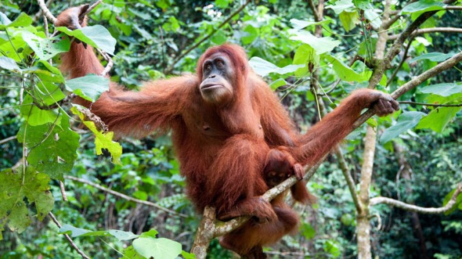 orang-10-21-16.jpg
