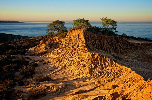 torrey-pines-reserve-thumb-630x417-92380