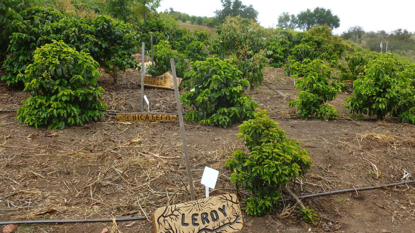 good land organics
