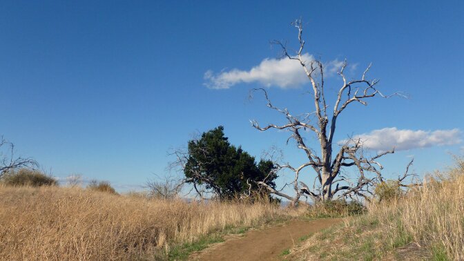Towsley Canyon