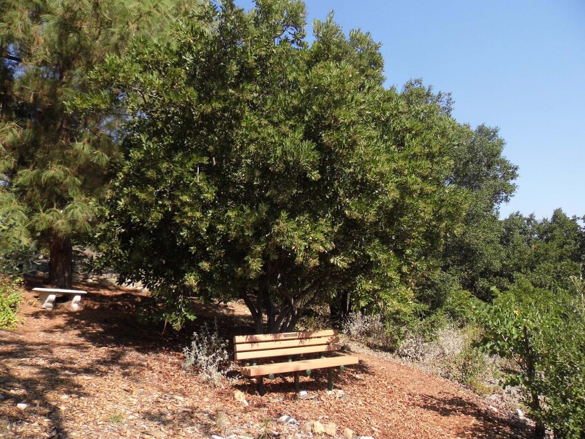 The Conejo Valley Botanic Garden nature trail | Sandi Hemmerlein