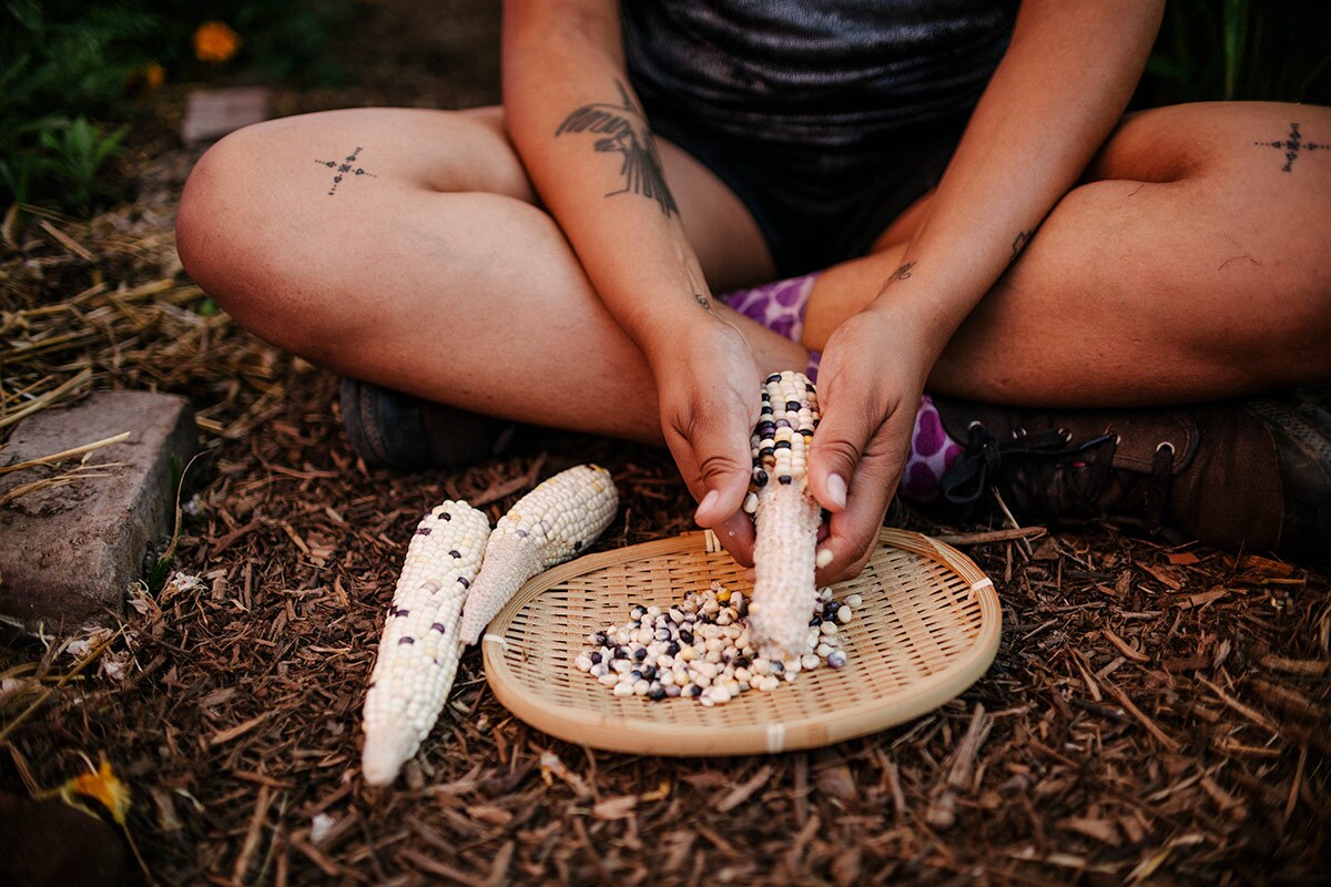 Loba remove kernels from an ear of corn. | Samanta Helou Hernandez