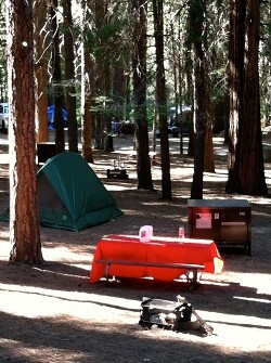 kings-Canyon-camping-040313