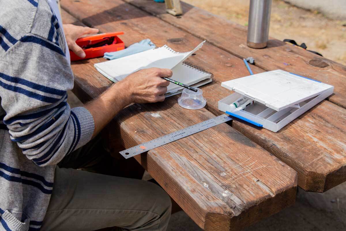 Nikko Mueller working on a park table at the San Clemente Border Station for "Three Border Ecologies" | Lena Martinez Miller