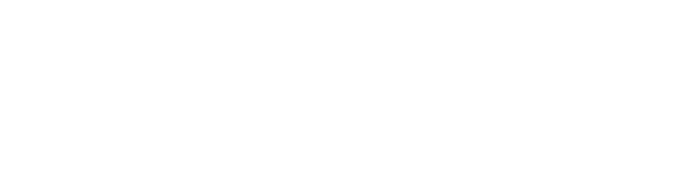 A Bridge to Life