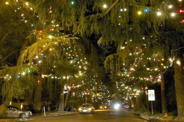 ChristmasTreeLane