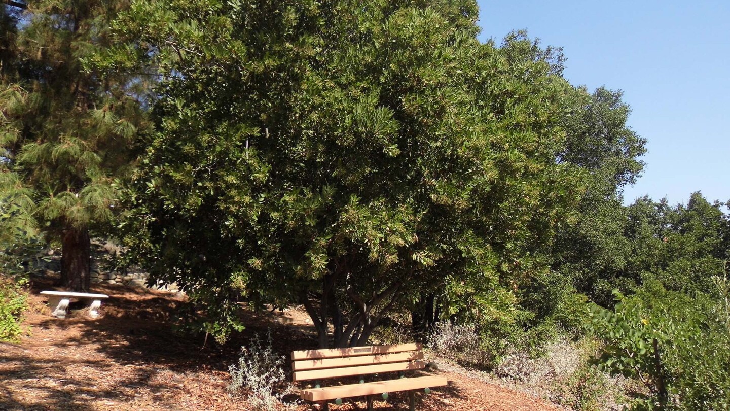 The Conejo Valley Botanic Garden nature trail | Sandi Hemmerlein