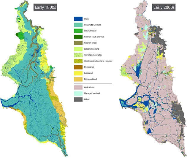 Agricultural use has dominated what used to be a major wetland area