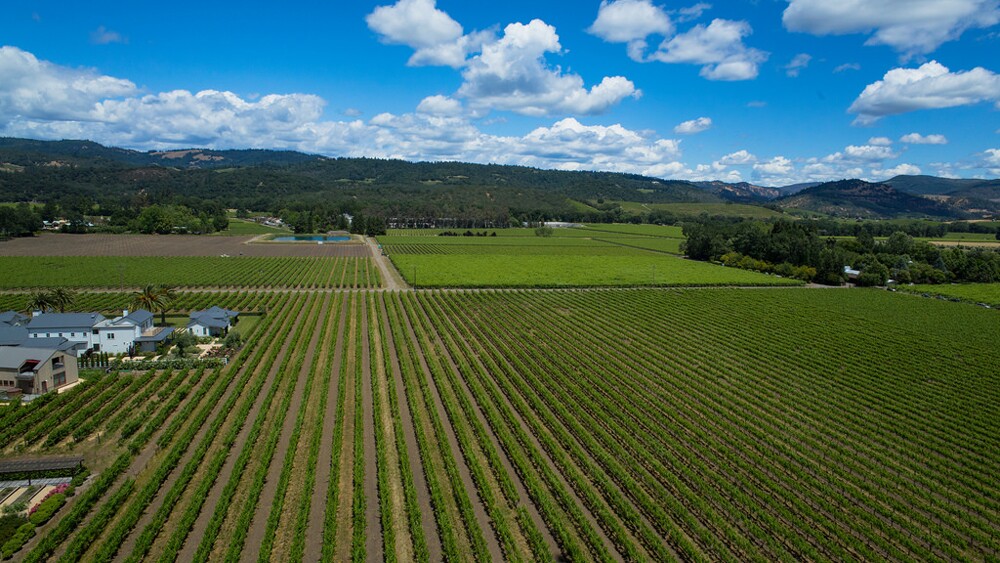 Aerial photo of Napa vineyards | Photo: Pierre LeSage, some rights reserved
