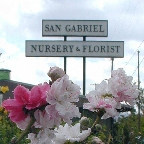 San Gabriel Nursery and Florist continues to serve the multi-cultural constituents of the San Gabriel Valley | Photo courtesy of San Gabriel Nursery and Florist.