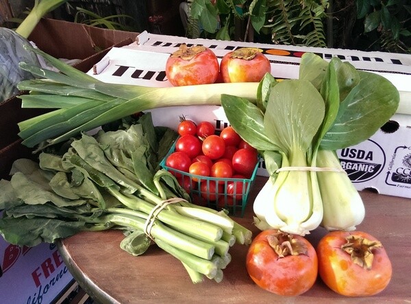 November CSA load