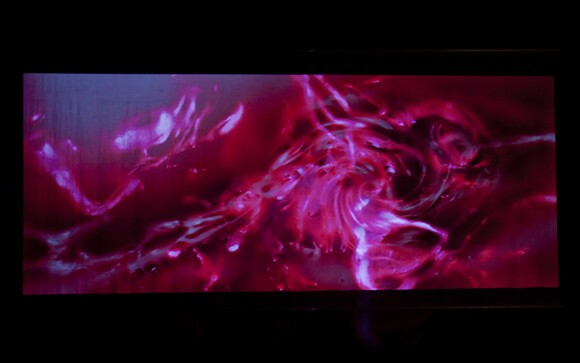 "Fascinomas," 5"x12", projection (2012). This is a still from a video installation that appeared at Pasadena Museum of California Art.