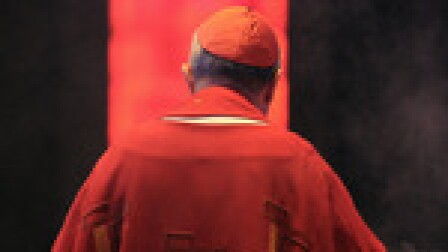 cardinal-in-red-thumb-150x100-46697