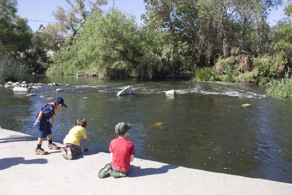 Kids discover the river