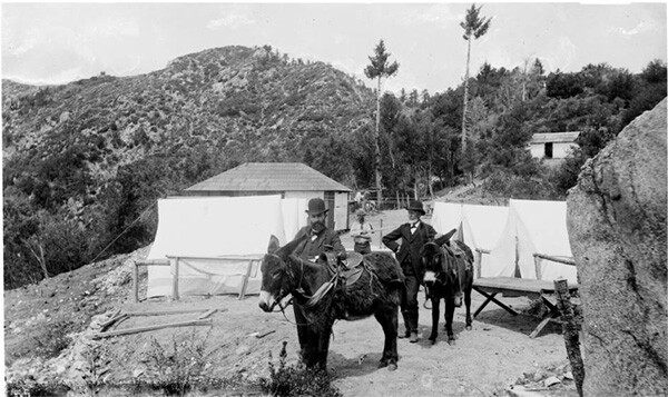 Two Men with donkeys and tents on Mount Wilson, California, 1887. Martins Camp on the Old Trail. | Digitally reproduced by the USC Digital Library; From the California Historical Society Collection at the University of Southern California