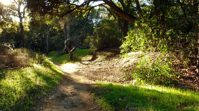 placerita canyon natural area