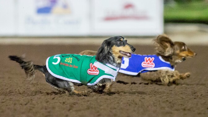 2019weiner-trial10