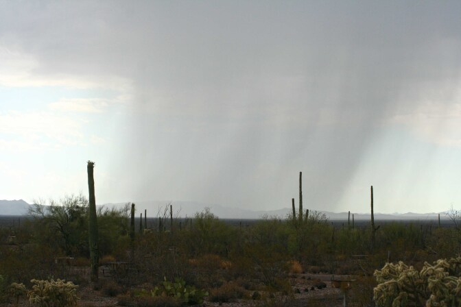 rain-monsoon-sonoyta-plain-5-10-16.jpg
