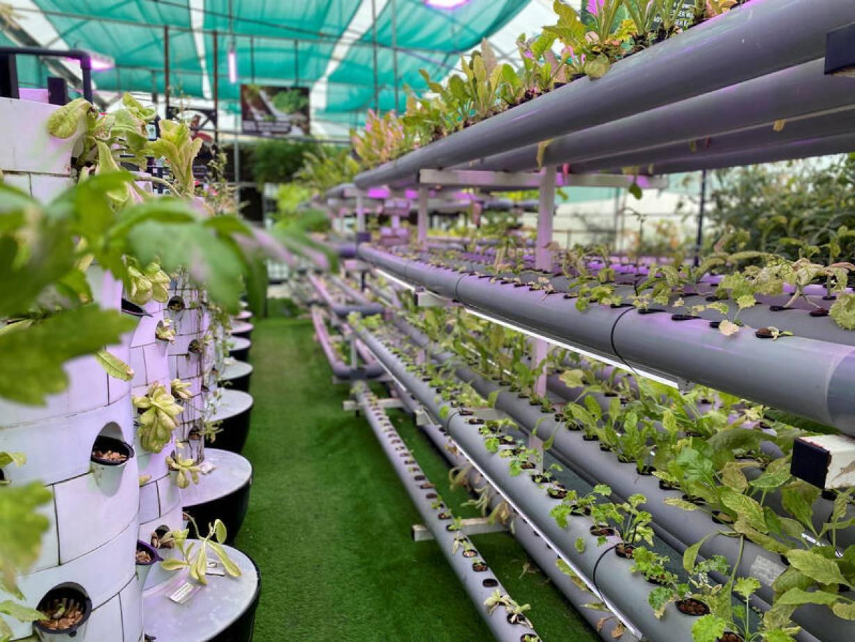 General view of a high tech vertical farm where local farmers have a chance to cultivate their crops, despite the nationwide lockdown due to the coronavirus disease (COVID-19) outbreak, in Sharjah, United Arab Emirates April 13, 2020. REUTERS