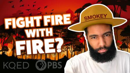 Should We Fight Wildfires with... More Fire?