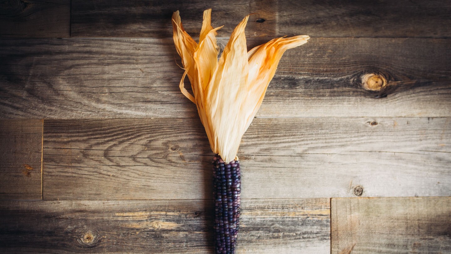 A blue and purplish corn on a table.