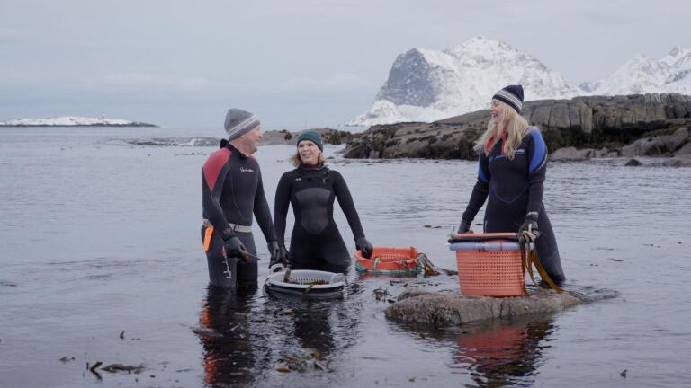 The Lofoten Islands (Lofoten)