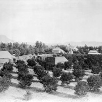 The town of Toluca (now North Hollywood) in 1894. Courtesy of the USC Libraries - California Historical Society Collection.