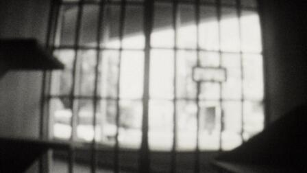 Herman's House: Confined to a Cage